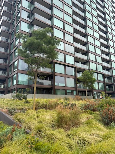 The image depicts a modern, multi-story building with a dark brown facade and numerous large, reflective windows, many of which appear to have sheer white curtains. Each level features balconies with glass railings. In the foreground, a landscaped area features a variety of grasses and plants in shades of green and yellow, with some dry, brown vegetation present. A slender tree with green foliage stands prominently in the middle ground. The scene is likely located in a city environment, given the architectural style of the building. While the precise location of Rijswijk, Netherlands cannot be definitively determined from the image alone, the architectural style is consistent with contemporary urban development found in the Netherlands. There is a person visible in the lower right quadrant of the image, wearing red and black clothing. They appear to be walking or standing on a pathway near the building. No specific actions or interactions are clearly discernible.