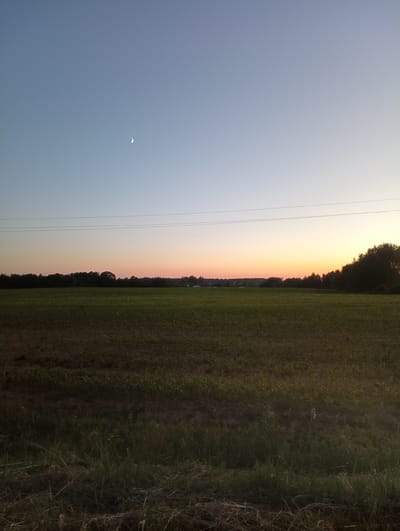 This is a photograph of a rural landscape at dusk. The sky is a gradient of soft blue at the top, transitioning to a pale orange and pink near the horizon. A crescent moon is visible in the upper left quadrant of the sky. A thin line of trees forms a dark silhouette across the mid-ground, separating the sky from a wide, green field in the foreground. The field appears to be agricultural, with rows of young crops visible. In the far distance, beyond the treeline, a few scattered buildings are faintly discernible, suggesting a small settlement. Two parallel power lines stretch horizontally across the upper portion of the frame, above the treeline. The bottom edge of the image shows a darker, less defined area of grass and debris. The scene is peaceful and suggests the end of a day in the countryside. The location is Палыкавіцкі сельскі Савет, Belarus.