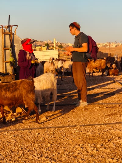 In Keidar, Palestinian Territories, two individuals are present in an outdoor, dusty environment characterized by a scattering of gravel and pebbles. The scene features several goats, some of which are light-colored and fluffy, while others are brown and shaggier.
On the left, a person stands with their back partially turned to the camera, wearing a dark purple, long-sleeved garment, a red scarf that covers their face and head, a grey baseball cap, and yellow gloves. They are positioned near a metal structure with a dark pole extending upwards.
On the right, a person wearing a dark green polo shirt, brown trousers, a kippah, and sunglasses is facing the first individual. They have a dark backpack with a maroon garment draped over it. Their hands are raised and gesturing. Behind them, more goats are visible, along with fencing and buildings in the background, suggesting a semi-urban or rural settlement. The lighting suggests it is late afternoon or early evening, with long shadows cast across the ground.