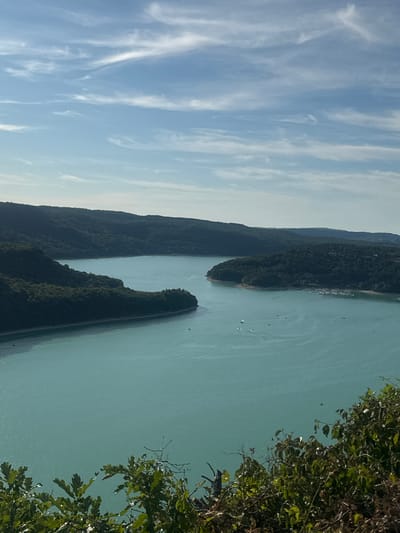 This image captures a scenic view of the Vouglans Lake in Moirans-en-Montagne, France, from an elevated vantage point. The vast, turquoise body of water dominates the lower half of the frame, reflecting the bright, partly cloudy sky. Along the edges of the lake, dense, dark green forests cover the rolling hills that form the landscape. Several small boats are visible on the water, with some appearing to be sailing or motoring. In the foreground, the foliage of trees and shrubs partially obscures the view, adding a sense of depth and framing the expansive scenery. The overall impression is one of natural beauty and tranquility.