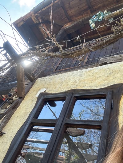 A low-angle shot shows a structure, likely a building, with a window reflecting a sky with trees. The building features wooden planks, a textured light-colored exterior, and an overhanging roof with vines and branches. A small, decorative floral arrangement is visible on the roof. The window has a dark frame and multiple panes. The location is Gorno Trape, Bulgaria.