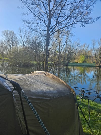The image depicts a waterside scene, possibly near Gavisse, France, characterized by a tent pitched near a body of water reflecting trees and the sky. Bare trees are visible, with their reflections mirrored in the water. Fishing rods are set up on the water's edge, suggesting an angling activity. The tent is the primary structure in the foreground.