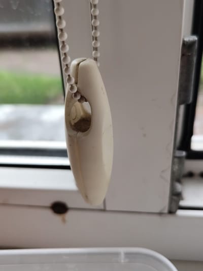 The image shows a close-up of a dirty beige plastic blind cord pull, hanging vertically. The pull has a smooth, oval shape with an opening in the center, and it is covered in a layer of dust and grime. The cord itself, made of small white beads, is visible above the pull. The background is blurred, but appears to be a window with a view of greenery and some indication of overcast weather. The window frame is white, and a metallic hinge is visible on the right side. The bottom of the image shows the edge of a white plastic container. The scene is indoors, near a window, possibly in a residential or office setting. There are no people or animals present.