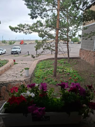 The image displays a garden area adjacent to a building with a stone and brick facade. Two pine trees with prominent trunks and branches arch over a paved walkway. The walkway is constructed from irregularly shaped stones. Beyond the walkway, a patch of ground is covered with green vegetation and interspersed with small red and purple flowers. A yellow hose lies on the ground, possibly for watering. In the background, there is a parking area with several vehicles, including a white car and a red truck. A chain fence runs along the edge of the parking area. The sky is overcast, suggesting a cloudy day. The image is oriented vertically. The foreground features a planter with vibrant purple, pink, and white flowers, some of which are out of focus and dark due to lighting. The overall scene suggests an outdoor environment, likely a courtyard or the grounds of a facility, located in Молодёжный, Kazakhstan. There are no people visible in the image.