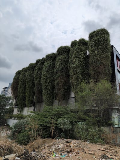 The image depicts the exterior of a modern building in Hyderabad, India, characterized by a distinctive living wall or vertical garden that cascades down its facade. The building features a sleek, dark exterior with some red accents visible on the far right. The vertical garden is lush and dense, composed of numerous green plants that create a striking natural contrast against the urban architecture.

In the foreground, the scene presents a stark contrast to the well-maintained building. The ground is littered with a significant amount of debris, including plastic waste, broken concrete, dry branches, and general refuse. This accumulation of trash suggests a neglected or unmanaged area adjacent to the building.

In the background, another building with a white facade and glass elements is partially visible to the left, indicating an urban setting. The sky is overcast with heavy clouds, suggesting a subdued or potentially rainy atmosphere. The overall impression is a juxtaposition of an innovative architectural design with environmental degradation in the immediate surroundings.