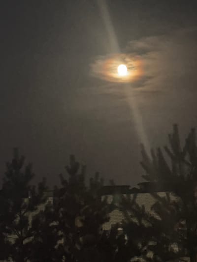 A hazy, full moon with a noticeable halo casts a soft glow on a dark, overcast night. A bright beam of light, likely from the moon, streaks downwards from the top of the frame. In the foreground, the dark silhouettes of evergreen trees obscure the view of what appears to be a building with a light-colored brick facade and a dark roofline. The scene suggests a residential area within the city of Białystok, Poland, possibly at night. There are no people visible in the image.