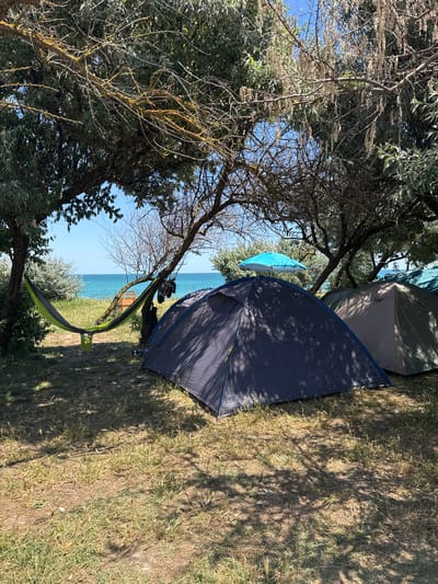 A camping scene unfolds near the sea in Shabla, Bulgaria. In the foreground, a dark blue tent is pitched on dry, patchy grass, partially shaded by trees. To the left, a green and black hammock is strung between two tree trunks, with a green bag hanging beneath it. Further back, another tent, this one light brown, is visible. A bright blue umbrella rises from behind the dark blue tent. Beyond the campsite, the turquoise sea stretches to the horizon under a clear blue sky. The vegetation is sparse and appears dry, typical of a coastal environment in summer. The overall atmosphere is one of a relaxed outdoor retreat.