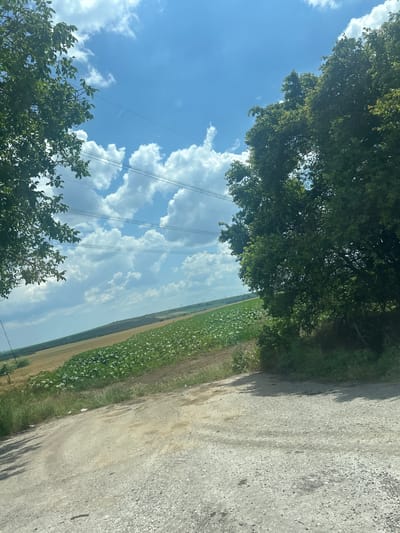 The image shows a rural landscape under a partly cloudy sky. In the foreground, a dirt road with loose gravel is visible, with shadows cast by trees on the right side. On the left, foliage from trees frames the scene. Beyond the road, a sloping field is divided into sections of different crops, with a patch of green plants in the lower portion and a strip of golden or brown agricultural land above it. In the distance, more fields and distant trees are visible, along with power lines stretching across the sky and several wind turbines on the horizon. The overall impression is one of agricultural land with infrastructure elements. The location is identified as General Kiselovo, Bulgaria.