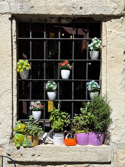 A charming, vertically oriented shot captures a decorative window embedded in a weathered, light-colored stone wall in the City of San Marino. The window is secured by a dark, wrought-iron grid, behind which the interior appears dimly lit, suggesting a deep recess or shadowed room.

The iron grid serves as a display for a vibrant collection of small potted plants, primarily artificial flowers. These include white pots holding white, light blue, red, yellow, and pink-and-white blossoms, arranged neatly across the bars. On the right side of the window, a larger collection of real plants adds natural texture. A bushy plant, possibly rosemary, grows from a sizable purple planter with a green base. Trailing green vines spill from other hidden pots, and a small, white metal watering can with partially visible text, "ROSE R...", hangs below. An orange ceramic pot and a whimsical green ceramic frog planter, also holding a plant, contribute to the eclectic display.

Bright sunlight illuminates the scene from the right, casting sharp, distinct shadows of the bars and plants onto the rough-hewn stone wall, indicating a clear, sunny day. The rustic stone architecture combined with the meticulously arranged planters creates a picturesque and inviting scene, reflecting a blend of old-world charm and personal touch.