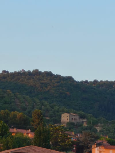 This media file depicts a pastoral landscape scene. A hazy, light blue sky occupies the upper portion of the image. A small, dark object, possibly a bird or an insect, is visible in the sky. The mid-ground is dominated by a lush, green, tree-covered hillside. Sunlight illuminates the top of the hill, casting shadows on the lower slopes, suggesting it is either early morning or late afternoon.

On the hillside, a rustic stone building with multiple windows and a tiled roof stands out. It appears to be an old house or a small complex, nestled amongst the trees. Below the hill, in the foreground, are several houses with terracotta tiled roofs and chimneys. The houses are clustered together, peeking through the foliage, indicating a rural or semi-rural settlement. The greenery is dense, with various shades of green from the trees and shrubs.

The overall impression is one of tranquility and natural beauty. The soft lighting and the presence of the old buildings evoke a sense of timelessness. The location is Passignano sul Trasimeno, Italy. There is no visible text in the image.