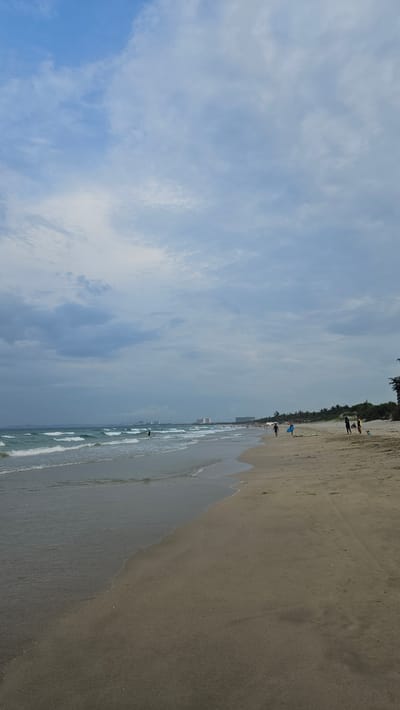 The image depicts a beach in Cam Lâm, Vietnam, under a sky with light blue and white clouds. The beach, a sandy expanse of varying shades, adjoins a waterline with gentle, white-tipped waves. Several individuals are scattered along the beach, engaging in activities or standing near the treeline. The treeline itself is a thick band of greenery that suggests coastal vegetation. In the distance, buildings are faintly visible, hinting at urban development.