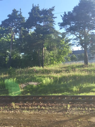 The image shows a view of a wooded area with trees and grass, with a railroad track in the foreground. A building, possibly a house, is visible in the background. The sky is clear and blue. The lighting suggests it is daytime, likely sunny. No people are visible in the image. The scene appears to be in a rural or semi-rural setting, consistent with the outskirts of a town or village like Zolotovo, Russia, where there would be natural landscapes alongside infrastructure like railways.