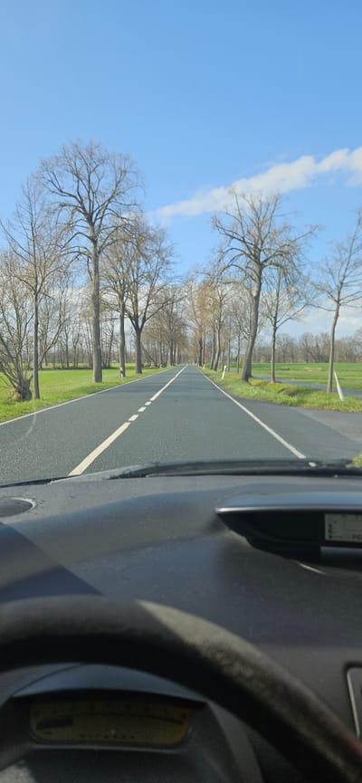 The image depicts a view from inside a vehicle, likely a car, driving on a road lined with bare trees. The road has a white center line and green fields are visible on either side beyond the trees. The sky is blue with a few thin clouds. The location is potentially near Rietberg, Germany, as the image was taken in that region. A portion of the car's dashboard and steering wheel are visible on the right side of the image.