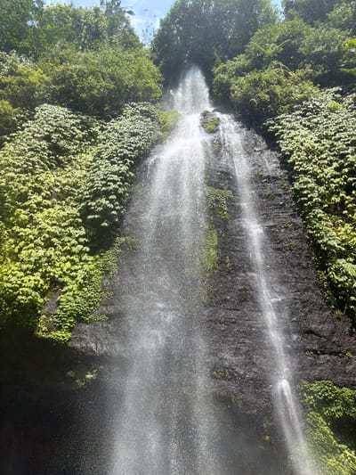 An upward, vertical shot captures a lush waterfall cascading down a dark, rocky cliff face covered in vibrant green vegetation. The water, illuminated by bright sunlight, appears as a shimmering curtain, with mist rising from its impact at the bottom. The surrounding cliff is densely populated with various green plants, creating a natural, verdant backdrop. Above the waterfall, lush green trees and foliage create a canopy, with a glimpse of a clear blue sky peeking through. Two small dark specks, possibly birds, are visible in the upper portion of the sky. The scene is located in Sawan, Indonesia, a place renowned for its natural beauty and waterfalls.