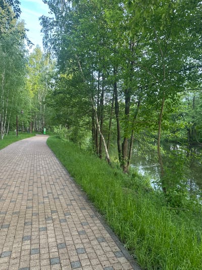 The image depicts a paved pathway in Grebnevo, Russia, bordered by trees and vegetation on either side. The path is constructed of rectangular brick-like pavers, alternating in color to create a pattern. Lush green grass grows along the edge of the path, transitioning into a dense forest on one side and a body of water obscured by trees on the other. The trees form a canopy overhead, filtering the sunlight. The scene suggests a recreational area or park.