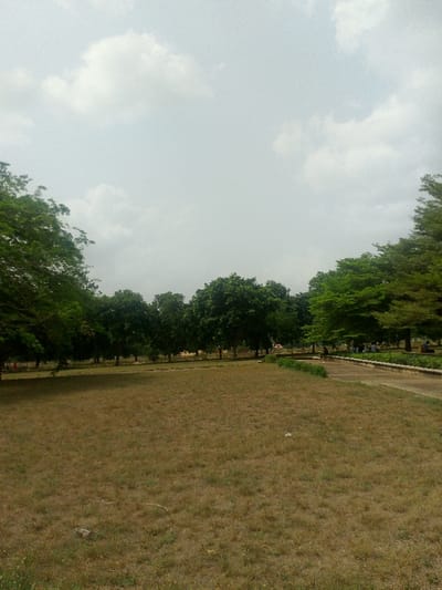 This image depicts an outdoor public space in Alabata, Nigeria, under a cloudy, light-grey sky. The foreground and midground are dominated by an expanse of dry, yellowish-brown grass, with scattered patches of greener vegetation. A row of uniformly spaced, dark green deciduous trees extends across the mid-background from left to center. To the far left, a large, dense green tree partially frames the scene. On the right side, a paved pathway with a raised edge runs alongside the grassy area, curving gently into the background. Several lighter green trees stand along the pathway on the right. In the far right-midground, a group of approximately 5-10 individuals is visible, appearing to be seated or resting on or adjacent to the pathway under the trees. No specific actions or interactions among these individuals are clearly discernible.