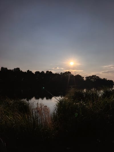 This is a vertical, eye-level shot of a serene sunset over a body of water, possibly a river or lake, with a dense line of trees silhouetted against the sky on the far bank. The sun, a bright disc with visible rays, is positioned in the upper right quadrant of the frame, casting a warm glow and reflecting on the water's surface. The sky transitions from a pale lavender near the horizon to a dusky blue at the top. Wispy clouds are scattered near the sun. In the foreground, tall, dark reeds and grasses are silhouetted, with some catching the golden light of the setting sun. A fishing rod is visible, angled into the water from the right side of the frame, its tip marked by a small green indicator. The water is calm, showing a gentle reflection of the trees and sky. The environment appears natural and unpopulated, evoking a sense of tranquility and outdoor recreation. The location is identified as Kuzminovka, Russia.