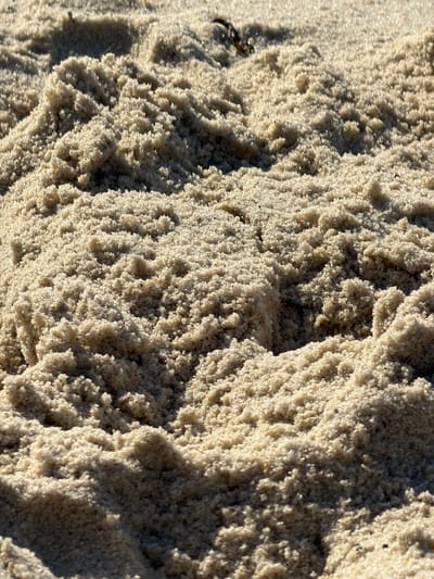 A close-up, high-angle shot of light-colored sand, likely at Dune Road beach in Hampton Bays, New York. The sand is textured with small, rounded grains and appears slightly damp, forming small ridges and depressions. Sunlight glints off the surfaces, highlighting the granular nature of the sand and casting subtle shadows. A small piece of dark debris, possibly seaweed or a dried leaf, is visible in the upper left portion of the frame. The scene is devoid of people or any other discernible objects, focusing solely on the natural texture and form of the sand.