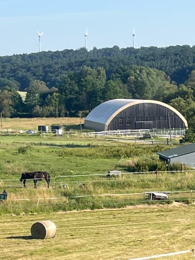 The image captures a rural landscape with agricultural structures and natural elements. In the foreground, a round bale of hay rests on a freshly cut field. Further back, a dark-colored horse grazes in a fenced pasture. Beyond the pasture, a large, arched barn with wooden siding and a metal roof stands prominently. In the distance, a dense forest covers rolling hills, and three wind turbines are visible against a clear sky. The scene is set in a rural area, likely on the outskirts of Momberg, Germany, given the presence of agricultural activity and wind energy infrastructure. The environment is characterized by open fields, wooded areas, and signs of farming and renewable energy.