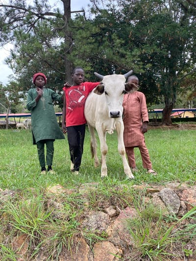 In Zawan, Nigeria, three individuals, two young boys and a young girl, stand in a grassy field next to a light-colored cow. The boy on the left wears a green traditional outfit and a red cap. The girl in the middle is dressed in a red t-shirt and black trousers, with her arm around the cow. The boy on the right is attired in a light brown traditional outfit. The cow, with prominent horns, stands centrally positioned between the children. The background features lush green trees and foliage, with a hint of buildings and a fence in the distance, suggesting an outdoor setting likely on the outskirts of a settlement. The ground is covered in grass and rocks.