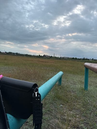 A black purse rests on a turquoise metal bar, its strap dangling. In the background, a field of dry grass stretches towards a distant horizon dotted with buildings and industrial structures under a cloudy sky. Another metal bar, painted brown and supported by teal posts, is visible to the right. The scene appears to be an outdoor recreational area, possibly in a semi-urban or rural part of Lyuban, Belarus.