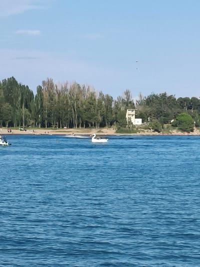 The image shows a body of water with a shoreline populated by trees and a few buildings. In the foreground, the water is a deep blue with ripples. A white swan-shaped paddleboat is visible in the middle ground, floating on the water. Further in the distance, on the shoreline, are several people scattered along a sandy beach and some trees lining the background. One building, appearing to be a light-colored house with a darker roof, is situated among the trees. The sky above is a clear, light blue with a few faint clouds and what appear to be distant birds.
