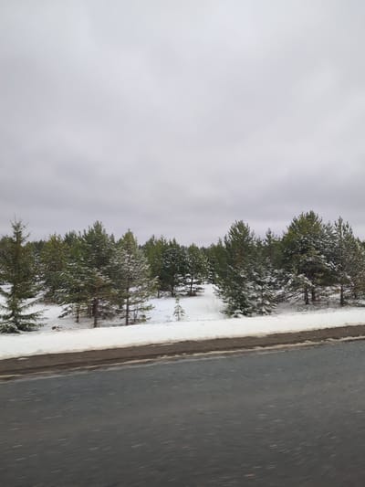 The image depicts a winter scene in Makarovo, Russia. A line of snow-covered evergreen trees is visible in the middle ground. Patches of snow cover the ground between the trees. Above the trees, the sky is overcast with a gray, cloudy sky. In the foreground, an asphalt road is visible, appearing wet or slick. The scene is viewed from a low angle, suggesting the image was taken from a vehicle. No people or interactions are visible in the image.