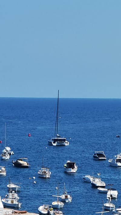 A high-angle, medium shot captures a bay filled with numerous boats of various sizes moored in the deep blue water. In the center of the frame, a large, modern catamaran with two hulls and a tall mast is prominently displayed. Surrounding it are many smaller motorboats and sailboats, some with canopies providing shade. The water appears calm, with gentle ripples reflecting the clear blue sky above. The scene suggests a typical day in a coastal town where recreational boating is popular. The location is the bay of Cadaqués, Spain, known for its picturesque coastline and vibrant maritime activity.