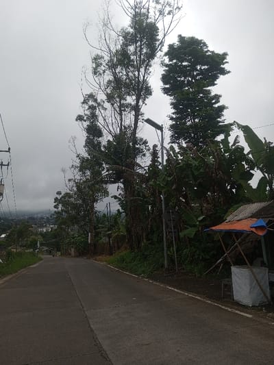 The image displays an overcast daytime scene on a paved road in Eheliyagoda, Sri Lanka. The road, composed of concrete or asphalt with a central expansion joint, extends into the distance, appearing to descend gently towards a visible urban or suburban settlement nestled among hills under a grey sky.
On the left side of the road, a series of utility poles with multiple overhead wires runs parallel to the roadway. The right side of the road is bordered by a grassy verge and dense vegetation, including several tall trees, some with sparse foliage and others with robust green canopies, alongside numerous banana plants. A streetlamp with a dark rectangular solar panel is mounted on a pole amidst this vegetation, accompanied by a dark, partially obscured rectangular road sign. Further right, a makeshift roadside stall or shelter is visible, constructed with a corrugated metal roof supported by wooden poles. A blue tarpaulin covers a portion of the roof, and a white, possibly wrapped, object rests on the ground underneath the stall. A single light-colored motor vehicle, consistent with a scooter or motorcycle, is observed traveling away from the viewer on the road in the mid-distance. No individuals are present in the foreground or clearly discernible elsewhere.