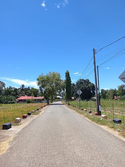 The image depicts a straight, paved road in Teupin Peuraho, Indonesia, under a clear blue sky with scattered white clouds. The road is lined on the left by a grassy verge with a concrete curb and a series of dark, rectangular blocks. On the right, the verge is also grassy, bordered by thin wooden stakes and some litter. A utility pole with multiple wires runs along the right side of the road.

To the left of the road, in the middle ground, are several houses with red roofs, surrounded by lush green trees and vegetation, including palm trees. A large, leafy tree stands prominently near the road on the left. Further down the road, on the right, a tall, slender tree is visible, followed by denser foliage. The overall environment suggests a semi-rural or suburban setting. There are no people or animals visible in the image, and no discernible actions or interactions are taking place. The scene is static and captures a midday view of the location.