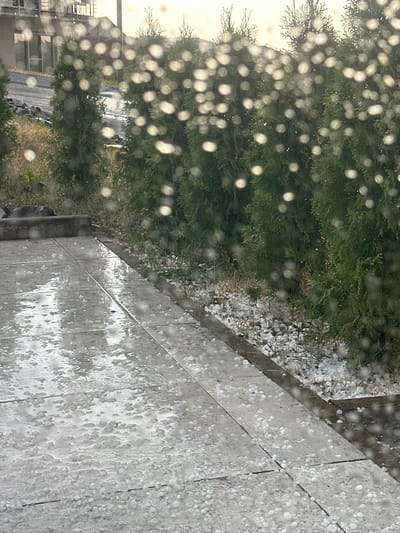 The image shows a ground-level view of a residential area in Wadern, Germany, during a hailstorm. The foreground features a paved walkway covered in hailstones and puddles of water. To the right of the walkway, a line of dense evergreen trees is visible, also accumulating hailstones. The background includes dry grass, a concrete border, and a building with windows. The sky appears overcast. The overall scene depicts the aftermath of a significant hailstorm, with hail accumulation visible on various surfaces.