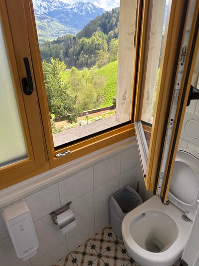 The image depicts the interior of a bathroom with a window offering a view of a mountainous landscape. A toilet with the lid open is visible in the upper right corner. A small waste bin is positioned near the toilet. Below these, there is a toilet paper holder and a bottle labeled "SURFACE CLEANER".

The window, which is partially open, frames a view of a valley with trees and mountains in the background. It's a sunny day, and the landscape appears green and lush. The presence of mountains suggests that this is somewhere in or near the Alps.

Without additional information, it is difficult to confirm that this location is specifically in Epagny, Switzerland.