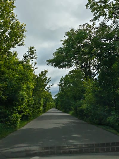 A straight paved road stretches into the distance, lined on both sides by dense green trees. The sky above is overcast with grey clouds. The location is not specified but it is alleged that the image was taken in Zhornyshche, Ukraine.