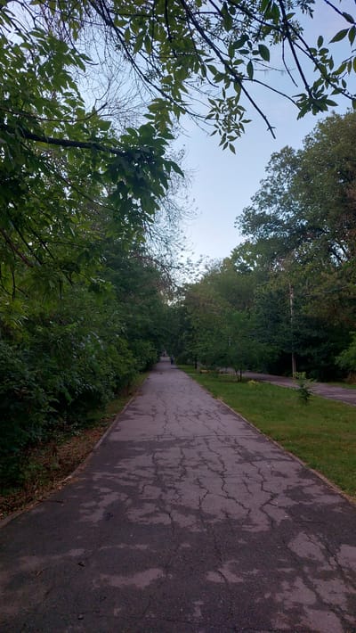 This media file depicts a park pathway on a slightly overcast day. The pathway, made of asphalt with visible cracks and water stains, stretches into the distance, bordered by lush green grass on one side and dense trees and bushes on the other. The trees are full of leaves, suggesting it is either late spring or summer. The sky is a pale blue, indicating it is likely daytime, possibly late afternoon as the light appears somewhat diffused.
In the mid-ground, two indistinct figures can be seen walking along the path, adding a sense of human presence to the scene. The overall atmosphere is peaceful and tranquil, suggesting a quiet moment in a natural setting. The location context points to Novocherkassk, Russia, a city known for its parks and green spaces. No visible text is present in the image. The composition is vertical, emphasizing the height of the trees and the expanse of the sky, while also leading the viewer's eye down the pathway.