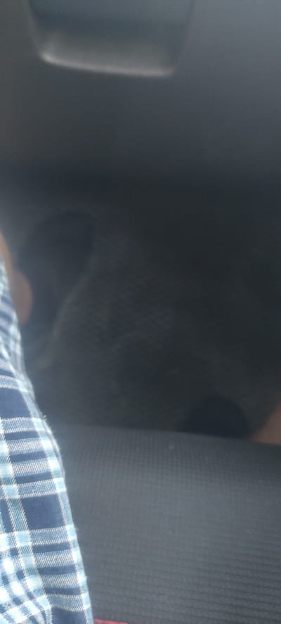 The image shows a close-up view of a dark-colored object, possibly a car interior, with a person's arm visible on the left side of the frame. The arm is covered by a blue and white plaid fabric. The background is dark and out of focus, with a faint horizontal streak of light in the upper portion of the image. The scene appears to be dimly lit. There are no clear indicators of location within Andijan City, Uzbekistan, or any specific actions or interactions.