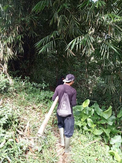 A forensic examination of the image reveals two individuals traversing a narrow, unpaved path through dense, tropical vegetation in Silvino Lobos, Philippines. The lead individual, seen from behind, is a male wearing a dark long-sleeved shirt, dark pants, and light olive green rubber boots. He wears a black baseball cap backward, featuring a white emblem, and a grey drawstring backpack with a white "Converse" logo is slung over his back. He is carrying a long, light-colored bamboo or wooden pole horizontally over his right shoulder. A second individual, also seen from behind and partially obscured by foliage, follows further along the path, dressed in dark attire. The environment is characterized by prolific green foliage, including numerous bamboo stalks and leaves dominating the upper and background areas, along with various ground cover plants and broad-leafed flora. The path appears to be a worn dirt trail, indicative of foot traffic through an overgrown natural area.