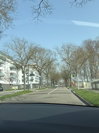 The image displays a forward-facing view from a vehicle on a straight asphalt road in Oberhausbergen, France, under a clear blue sky. Leafless deciduous trees line both sides of the road and frame the top of the image.
On the left side of the road, modern multi-story residential buildings with white facades and dark-framed windows are visible behind a row of bare trees. A dark car is partially parked on the far left, and various road signs, including a blue square with a white bicycle symbol and a blue '40' speed limit sign, are mounted on poles.
The road itself is a two-lane thoroughfare with white lane markings. Two white cars are visible in the distance, heading towards the viewer. On the right side of the road, a grassy verge precedes a dense line of bare trees, behind which a metal fence or barrier extends. In the right foreground, a cluster of vertical road signs, including a yellow priority road sign and a red circular sign, along with a traffic light pole, are present. A red bicycle is parked upright near these signs.
The bottom portion of the image shows the dark dashboard of the vehicle from which the photograph was captured. No individuals are visible in the scene. The overall environment suggests an urban or suburban setting during late winter or early spring.