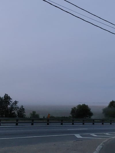 The image depicts a foggy rural road scene in Yakovlevskoe, Russia. A grey, asphalt road runs horizontally across the lower portion of the frame, with white lane markings. A wooden guardrail separates the road from a field beyond. Trees are visible on either side of the field, partially obscured by mist. In the distance, a yellow and red striped sign is present, indicating a potential hazard or warning. Overhead, power lines are visible against the pale, overcast sky. The overall atmosphere is serene and somewhat melancholic due to the fog and subdued lighting. No people are present in the scene.