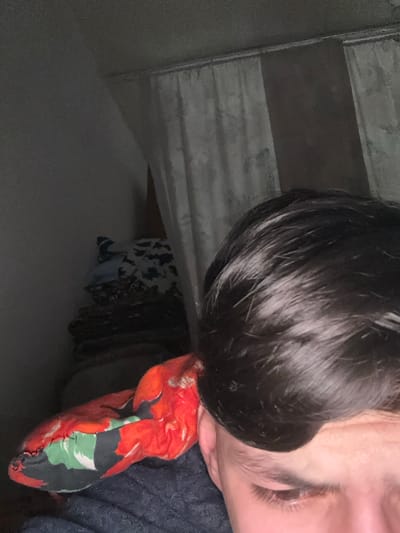 A person's face and dark hair are visible in the upper right of the image. Their eyes are closed. A colorful, floral-patterned item rests against their face. The background features a gray, wood-paneled wall and draped clothing. The lighting is dim, casting shadows across the scene.