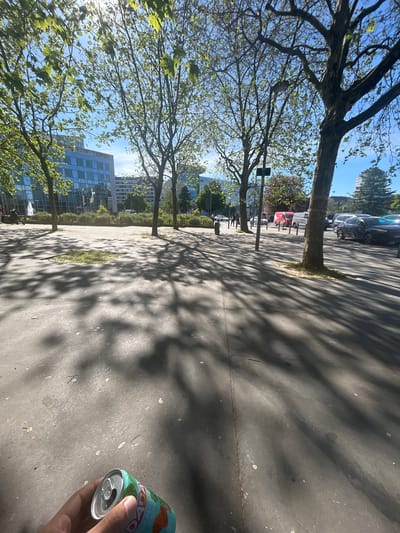 The image, originally rotated 90 degrees to the left, captures a sunlit outdoor urban scene, likely a park or wide pathway in Noisy-le-Grand, France. A wide, grey paved path or sidewalk extends from the foreground into the midground, covered in the intricate, dappled shadows of overhead trees.
To the left, a line of deciduous trees with fresh green leaves stands along the path, their branches reaching across the frame and casting long, wavy shadows to the right. Beyond these trees, modern multi-story buildings with glass facades reflect the bright blue sky, which is visible through the tree canopy.
In the background on the right side, several cars are parked, including a dark blue SUV, a white van, and a red car, suggesting a street or parking area parallel to the path. A black square sign on a pole is visible near the trees in the midground. Small patches of green grass are present around the base of the trees and within an irregular cutout in the paved surface further down the path.
In the bottom right corner of the frame, a person's hand holds a light blue AriZona Iced Tea can. The can features a colourful, fruit-themed design, and the brand "AriZona" is prominent, with "ICED TEA" and "PEACH" also visible, along with a barcode.
The bright sunshine and strong, distinct shadows indicate it is mid-morning or afternoon on a clear, pleasant day. The scene combines urban architecture with natural elements, presenting a calm and bright atmosphere in an urban green space.