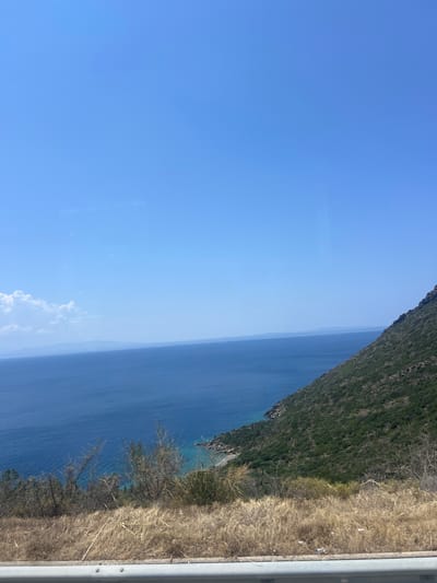 The image displays a scenic view of the sea and a forested hillside, likely from a roadside vantage point. The sky is a clear, bright blue. The sea is a deep blue, with lighter turquoise hues near the shore, and stretches to the horizon where it meets a hazy landmass. A steep, green, tree-covered slope dominates the right side of the frame, with rocky outcrops visible. The foreground features dry, yellowish grass and some sparse bushes, separated from the view by a metal railing. There are no people or specific identifiable structures visible, suggesting a natural landscape. The scene appears to be located along a coastal road, possibly in a rural or undeveloped area.