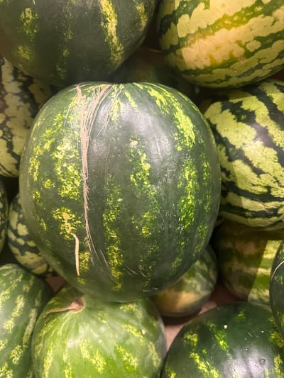 A close-up, overhead view of a pile of watermelons at a market stall. The watermelons are predominantly dark green with lighter green, irregular stripes. One watermelon in the foreground has a thin, light brown vine attached to its stem, and what appears to be a light brown, fuzzy string or piece of twine. The surfaces of the watermelons show variations in texture and color, with some areas appearing smoother and darker, while others have lighter, mottled patterns. The lighting suggests an indoor or shaded outdoor setting. No people or specific landmarks are visible. The scene is consistent with a produce display at a market in Galanta, Slovakia.