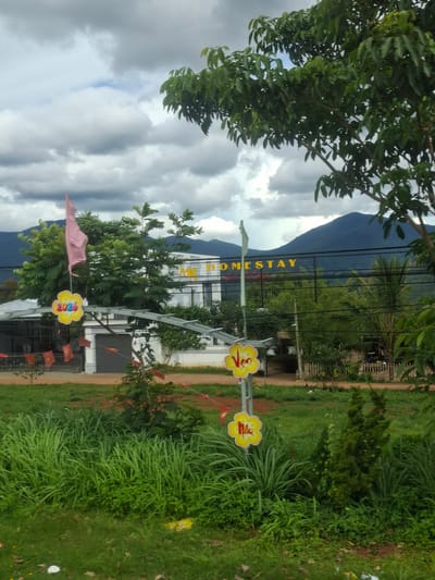 This is a vertical, full outdoor shot taken at ground level. The scene is a rural roadside, likely in Tân Phú 2, Vietnam, with lush green grass and vegetation on the right, and a dirt road running horizontally across the middleground. In the background, there is a large, verdant mountain under a cloudy sky.
The main subject is a homestay establishment. A prominent sign displays "HOMESTAY" in large yellow letters. In front of the building, there are decorative yellow flower-shaped signs. One sign has "VI" in red letters, and another has "2022" written on it. A pink flag is also visible, fluttering in the breeze. A metal fence runs along the front of the property. Electrical wires are strung across the middle of the frame, partially obscuring the homestay.
The weather appears overcast, with significant cloud cover, suggesting it could be mid-day or late afternoon. The overall atmosphere is tranquil and rural, evoking a sense of a peaceful, natural setting suitable for a homestay. There are no people visible in the image. The presence of the "2022" on the sign suggests the photo may have been taken around that year, perhaps during a holiday season or for promotional purposes.