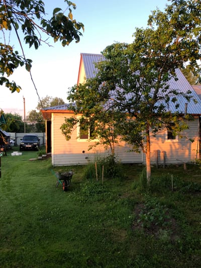 The image depicts a yard in Fedino, Russia, with a light-colored, single-story house featuring a corrugated metal roof. A tree with green leaves stands in front of the house, casting shadows on its exterior. To the left of the house, a black SUV is parked, and several white buckets are placed on the grass. A wheelbarrow filled with soil is positioned in the foreground. The yard is covered in green grass, with some low-lying plants and a small garden bed. The sky is clear and blue, with the setting sun casting a warm glow on the scene.