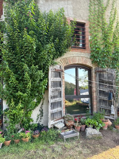 The image depicts a weathered stone building with a large, overgrown green vine cascading down its facade. To the left, a substantial portion of the vine obscures the wall and extends over an open, rustic wooden door. To the right of the entrance, another wooden shutter is partially open, revealing a clothesline with a dark blue bag hanging from it. A window with a dark frame and red bars is visible higher up on the building. Below the large window, an arched doorway frames a glass pane that reflects the surrounding greenery and a bright sky. The area in front of the building is a mix of grass and dirt, with several terracotta pots containing various plants and flowers. A small, wooden tray with a metal grate sits on the ground, surrounded by rocks and more potted plants. The overall scene suggests a rural or semi-rural setting. The location is specified as Tordera, Spain.