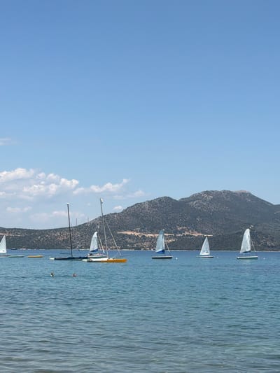 This image depicts a serene coastal scene in the Municipal Unit of Lefkada, Greece. The foreground is dominated by the tranquil blue waters of the sea, with gentle ripples indicating a calm day. A few whitecaps are visible on the horizon, suggesting a light breeze. In the middle ground, a fleet of small sailboats are scattered across the water. The sailboats have white sails, some with blue accents, and appear to be engaged in recreational sailing. Two individuals are visible swimming in the water between the shore and the sailboats, appearing to be enjoying the refreshing sea. In the background, a lush, green, and mountainous landscape forms the backdrop, with a clear blue sky overhead. The overall impression is one of a peaceful and idyllic summer day by the sea.
