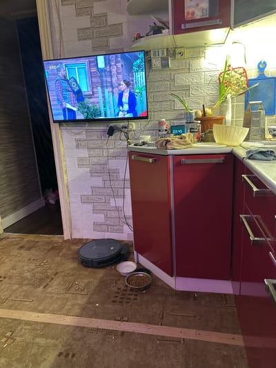 The image shows an indoor scene, likely a kitchen. A flat-screen television is mounted on a wall with a brick-like pattern. On the television, a man is playing an accordion and a woman is seated. In the foreground, a robotic vacuum cleaner is positioned on a carpeted floor. Next to the vacuum cleaner are two pet bowls, one empty and one filled with kibble. The kitchen area features red cabinets and a countertop. A digital clock displays 03:45. The overall environment appears somewhat cluttered and lived-in. There are no visible indications of the city of Sinegorye, Russia.