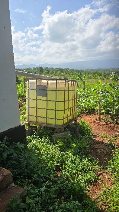 The image displays a rotated outdoor scene, where the sky is largely on the left and the landscape on the right.
**Subjects:** The central and most prominent object is a large, yellow-tinted Intermediate Bulk Container (IBC) with a robust metal cage frame, appearing partially filled with a yellowish liquid. Surrounding the container is lush green vegetation. To its upper right, tall plants, resembling young cornstalks, grow in reddish-brown soil. The area to the lower right of the container is densely covered with various green grasses and weeds. In the background, a vast green landscape extends towards distant, hazy hills or mountains. A small part of a white or light-colored structure is visible in the bottom-left foreground. No people are present.
**Activity or event taking place:** The scene is static, with no discernible activity or event occurring. It appears to be a snapshot of an agricultural or rural setting.
**Notable details:** The sky is bright blue with scattered white cumulus clouds, indicating clear and sunny daytime weather. The lighting suggests a warm, bright day, with sunlight illuminating the vegetation and parts of the container. The overall setting is rural and agricultural, hinting at farming or gardening activities. The IBC tote likely serves for water storage or other liquid resources for irrigation or fertilization. The image orientation itself is tilted clockwise.
**Visible text:** No legible text is visible anywhere in the image.
