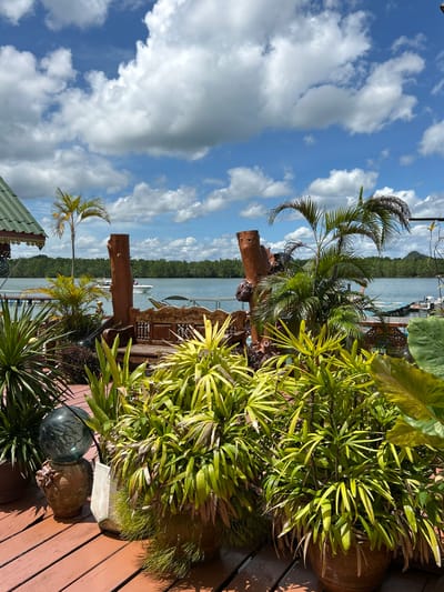 The image shows a scenic view of a waterfront area in Tambon Ko Panyi, Thailand. In the foreground, there is a wooden deck adorned with lush green potted plants, including palm trees and leafy foliage. A decorative wooden bench is visible, made from tree trunks and carved wood. Beyond the deck, a body of water stretches out, with a line of dense green trees forming the distant shoreline. Several boats, including a speed boat, are anchored or moving on the water. The sky is a vibrant blue with scattered white clouds, suggesting a bright, sunny day. The architectural elements, like the green-tiled roof on the left, indicate a local Thai style.