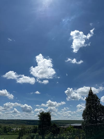 The image shows a landscape under a partly cloudy blue sky. The foreground features dark green foliage and what appears to be a dark fence or railing. A tall, dark green evergreen tree is prominently positioned on the right side of the frame. In the mid-ground, a verdant, rolling landscape with scattered trees and some man-made structures is visible. The background consists of a vast expanse of blue sky dotted with numerous white, puffy cumulus clouds. The sun is visible in the upper right corner, casting a bright glare. There are no people or specific actions depicted in the scene. The location is identified as Ia Hru, Vietnam, suggesting a rural or semi-rural setting characterized by lush vegetation and open skies.